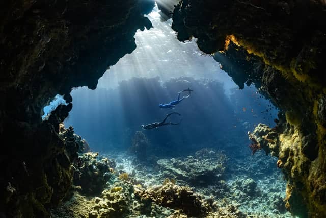 Night Snorkel by Torchlight