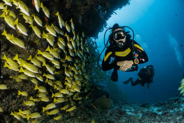 Discover Scuba: Beginner Dive in Cala Vadella